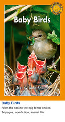 Sunshine Classics Level 22: Baby Birds