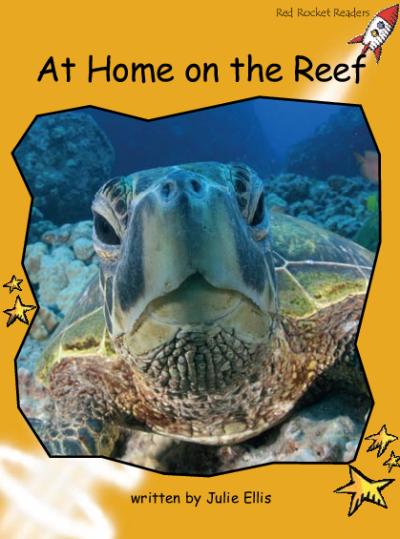 Red Rocket Fluency Level 4 Non Fiction A (Level 22): At Home on the Reef