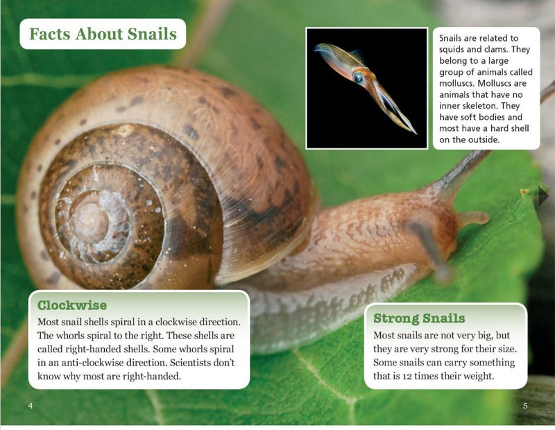 Sunshine Classics Level 23:About Snails