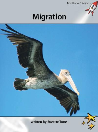 Red Rocket Advanced Fluency Level 1 Non Fiction A (Level 23): Migration
