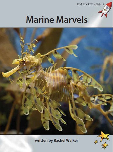 Red Rocket Advanced Fluency Level 1 Non Fiction A (Level 24): Marine Marvels