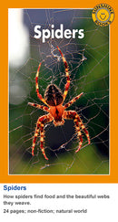 Sunshine Classics Level 25: Spiders