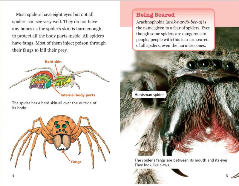 Sunshine Classics Level 25: Spiders