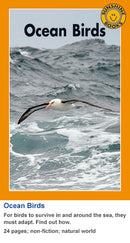 Sunshine Classics Level 26: Ocean Birds