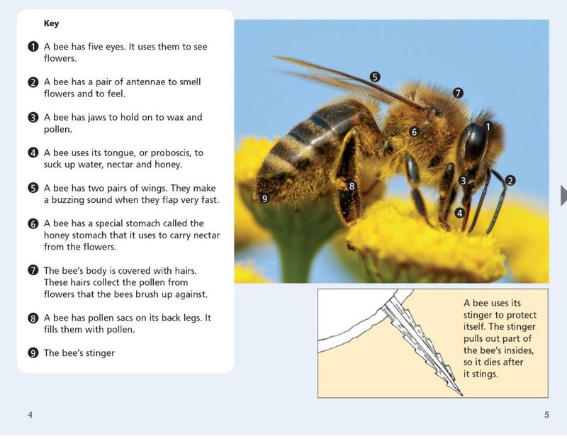 Sunshine Classics Level 26: About Bees