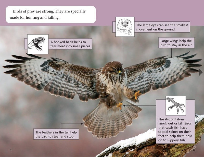Sunshine Classics Level 26: Birds of Prey