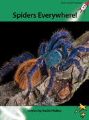 Red Rocket Advanced Fluency Level 2 Non Fiction A (Level 26): Spiders Everywhere!