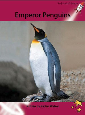 Red Rocket Advanced Fluency Level 3 Non Fiction A (Level 28): Emperor Penguins