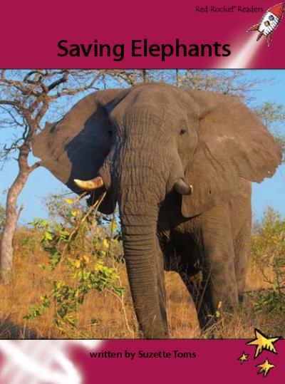 Red Rocket Advanced Fluency Level 3 Non Fiction A (Level 28): Saving Elephants