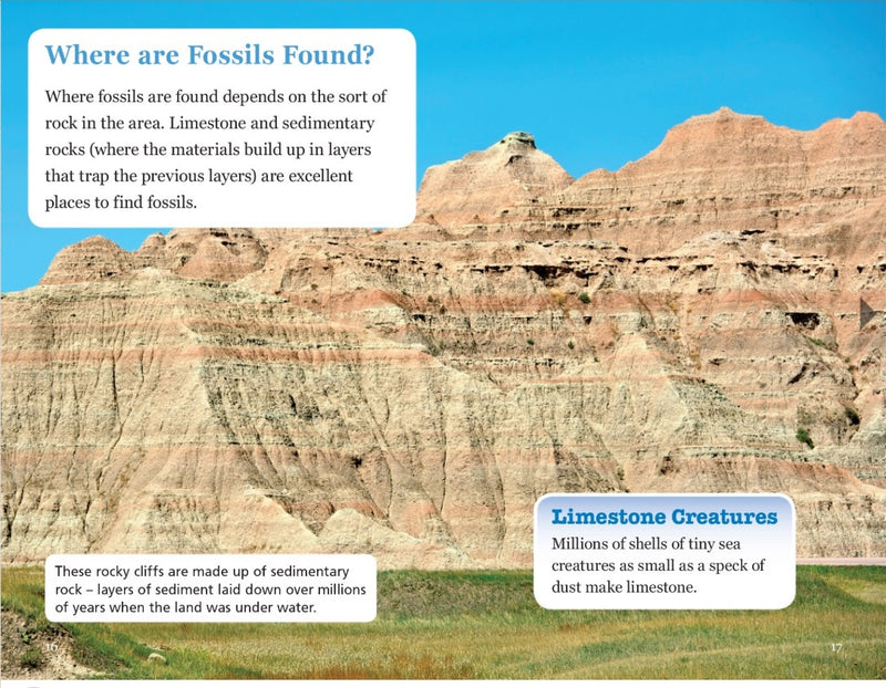 Sunshine Classics Level 29:  Fossils