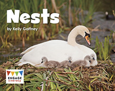 Engage Literacy L2: Nests