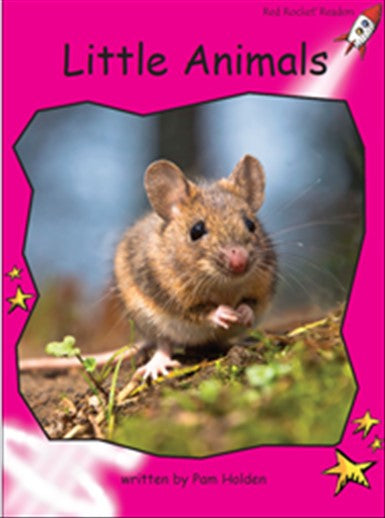 Red Rocket Emergent Non Fiction C (Level 2): Little Animals