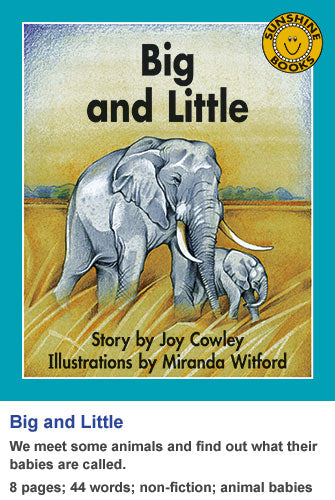 Sunshine Classics Level 3: Big and Little