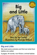 Sunshine Classics Level 3: Big and Little