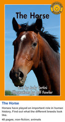 Sunshine Classics Level 30: The Horse