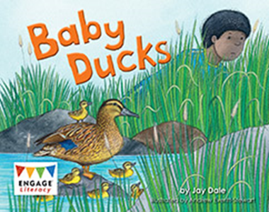 Engage Literacy L4: Baby Ducks
