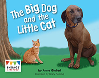 Engage Literacy L4: The Big Dog and the Little Cat