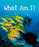 Sunshine Starters Level 4: What Am I?