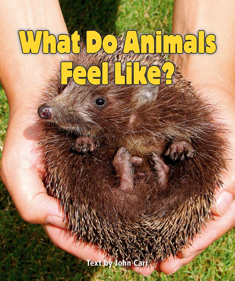 Sunshine Starters Level 4: What Do Animals Feel Like?