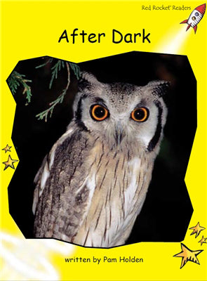 Red Rocket Early Level 2 Non Fiction B (Level 6): After Dark