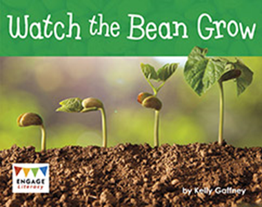 Engage Literacy L7: Watch the Bean Grow