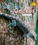 Sunshine Starters Level 8: Geckos