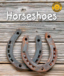 Sunshine Starters Level 8: Horseshoes