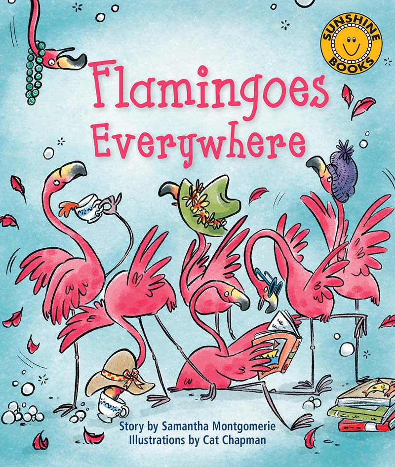 Sunshine Starters Level 9: Flamingoes Everywhere