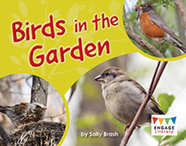 Engage Literacy L9: Birds in the Garden
