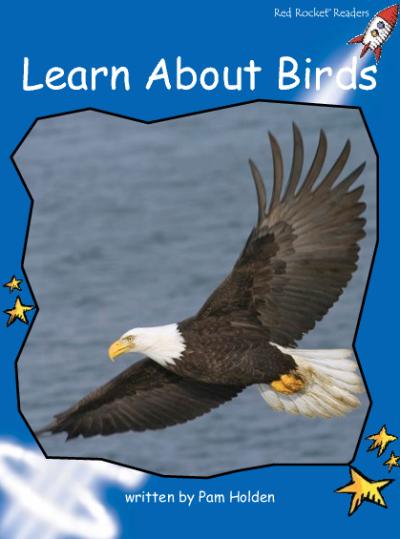 Red Rocket Early Level 3 Non Fiction C (Level 9): Learn About Birds