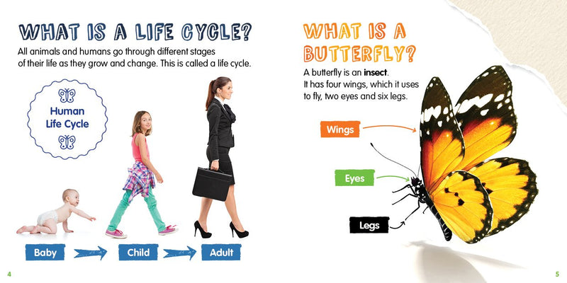 Life Cycles: Butterfly-PB