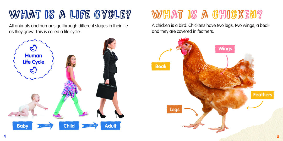 Life Cycles: Chicken-PB