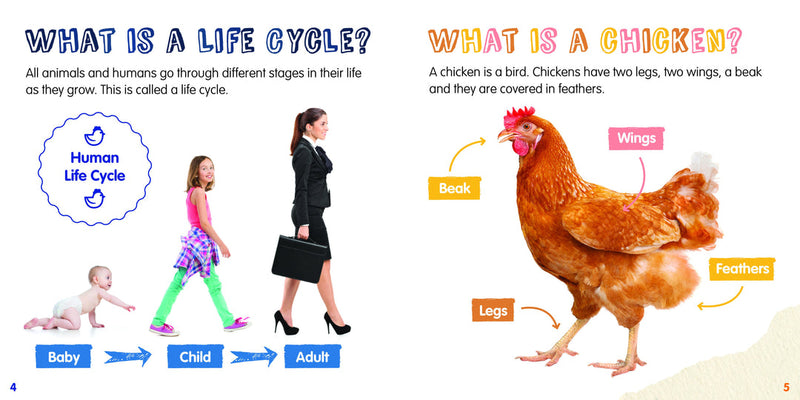Life Cycles: Chicken-PB