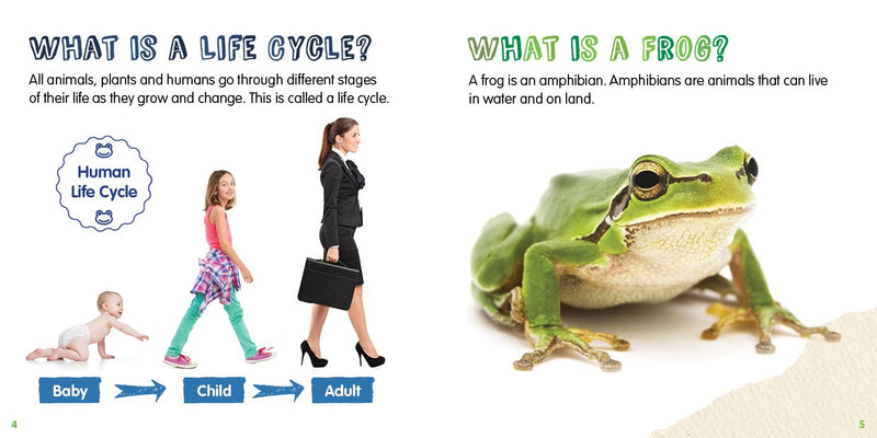 Life Cycles: Frog-PB