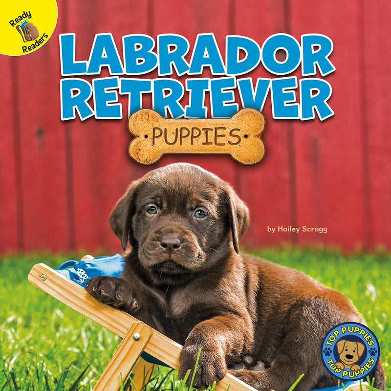 Ready Readers:Labrador Retriever Puppies