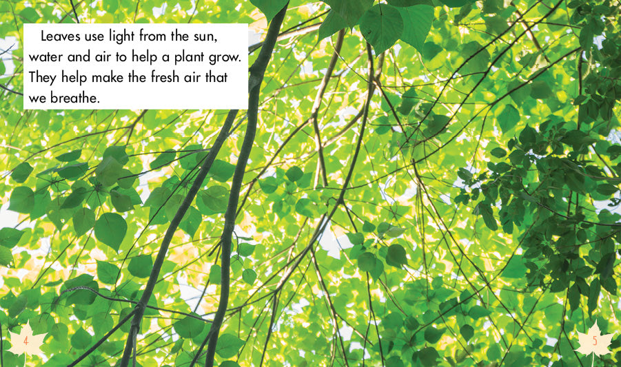 Sunshine Starters Level 16:Leaf Life