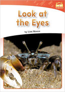 Dragonflies(L3-5): Look at the Eye