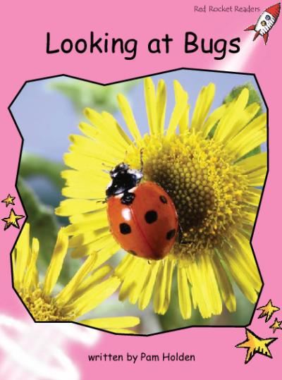 Red Rocket Pre-Reading Non Fiction B (Level 1): Looking at Bugs
