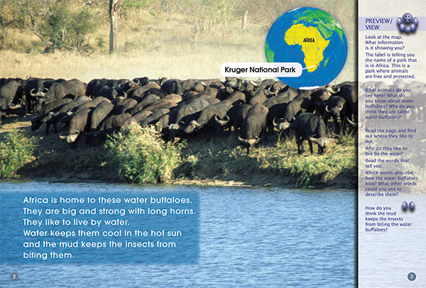Key Links Green Book 22, Level 14: Lucky Water Buffalo Calf