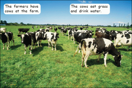 Red Rocket Early Level 2 Non Fiction B (Level 8): Making Milk