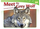 Dragonflies(L12-14): Meet the Grey Wolf