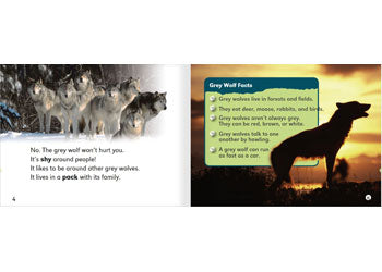 Dragonflies(L12-14): Meet the Grey Wolf