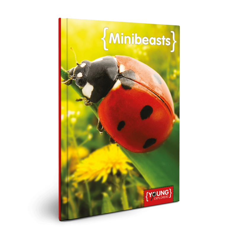 YOUNG EXPLORERS: MINIBEASTS