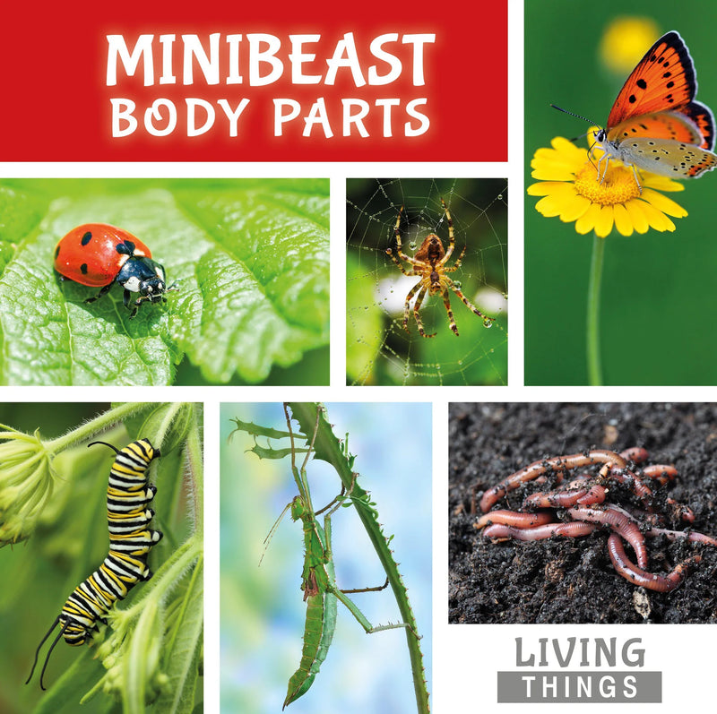 Living Things:Minibeast Body Parts(HB)