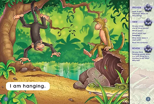 Key Links Magenta (Book 1, Level 1): Monkey Fun