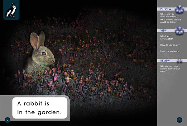 Key Links Magenta (Book 13, Level 2): Night in the Garden