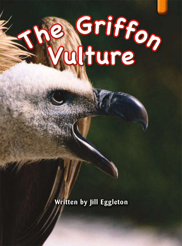 Key Links Orange, Level 15-16: The Griffin Vulture