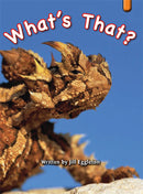 Key Links Orange, Level 15-16: What's That?