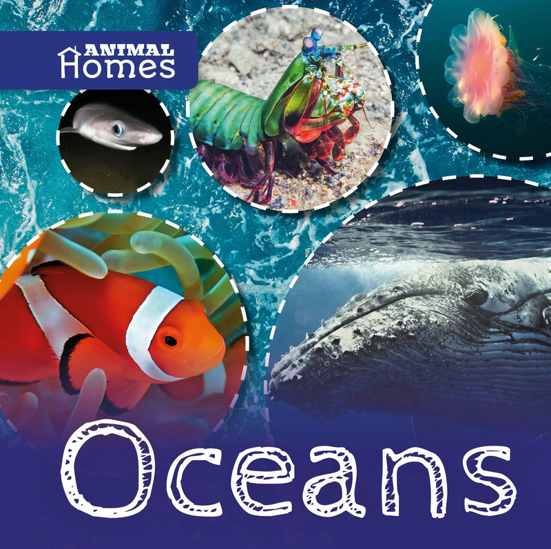 Animal Homes:Oceans(HB)