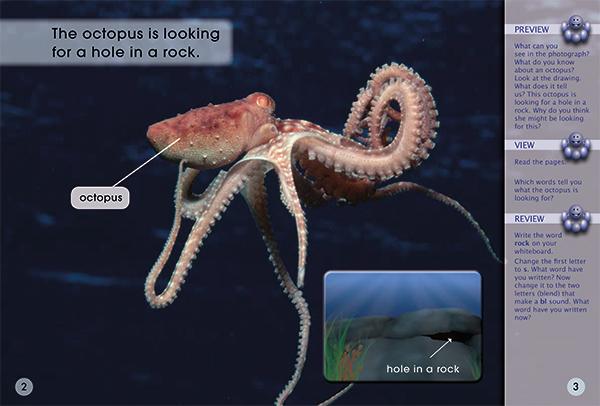 Key Links Yellow Book 6, Level 6: Octopus Mother